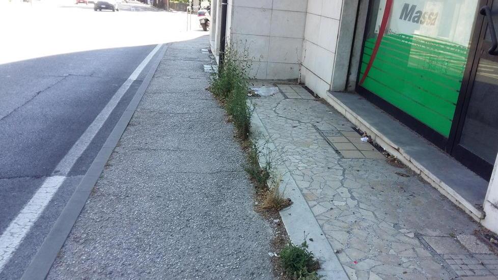 Un quasi orto urbano di erbacce
