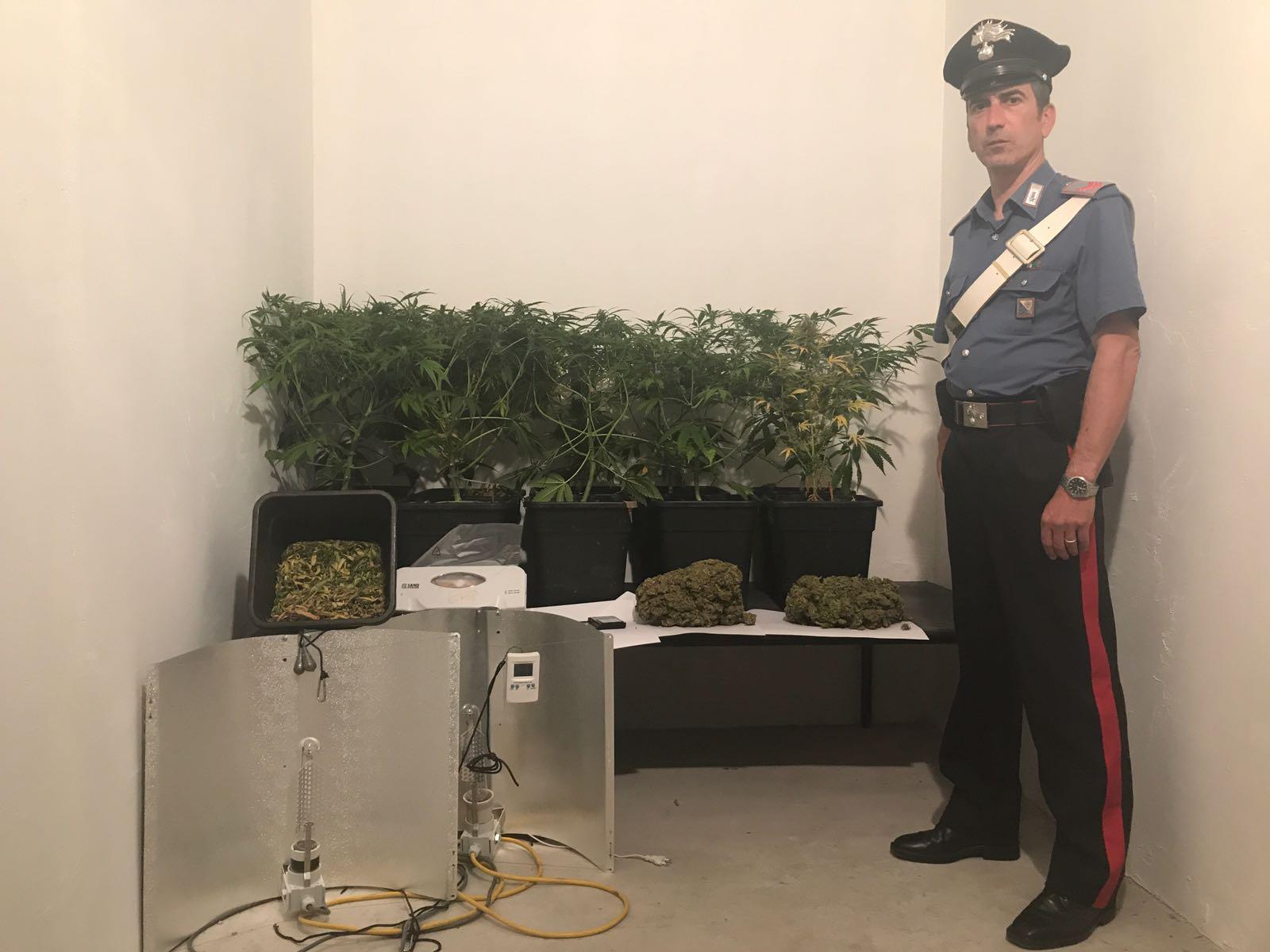 La droga sequestrata nell'abitazione di Pirri
