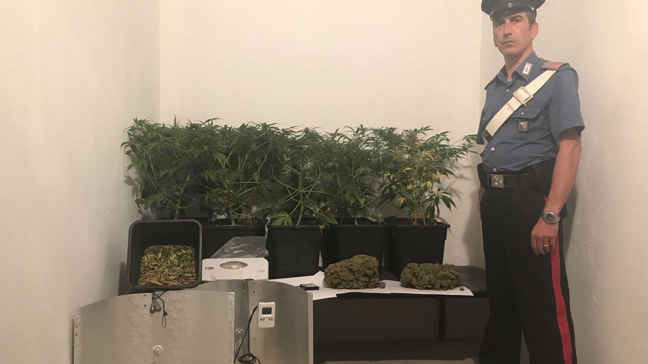La droga sequestrata nell'abitazione di Pirri