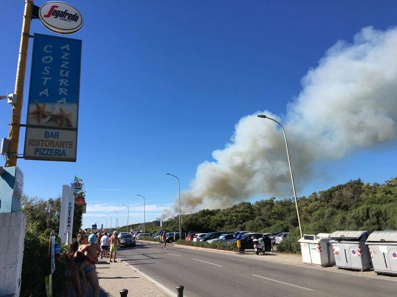Incendio nella pineta a Marina di Pisa: paura sul litorale - Video