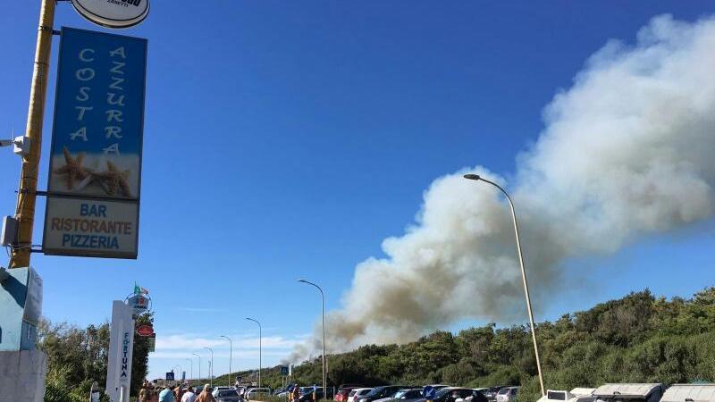 Incendio nella pineta a Marina di Pisa: paura sul litorale - Video