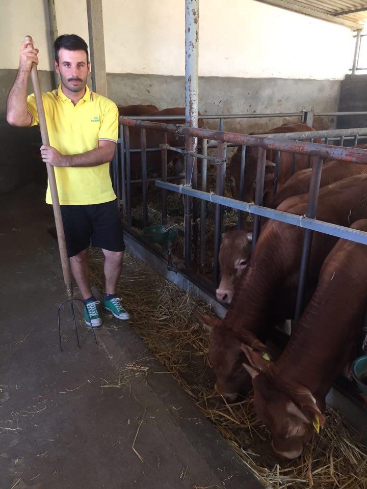 Marco Napoli al lavoro nella stalla
