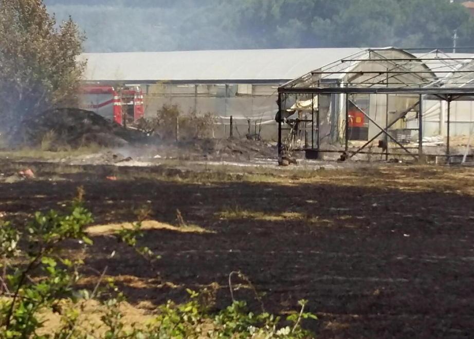 Giornata di fuoco bruciate anche alcune serre