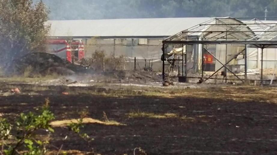Giornata di fuoco bruciate anche alcune serre
