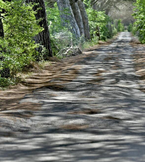 Sarà rifatto l’asfalto della strada delle Gerlette