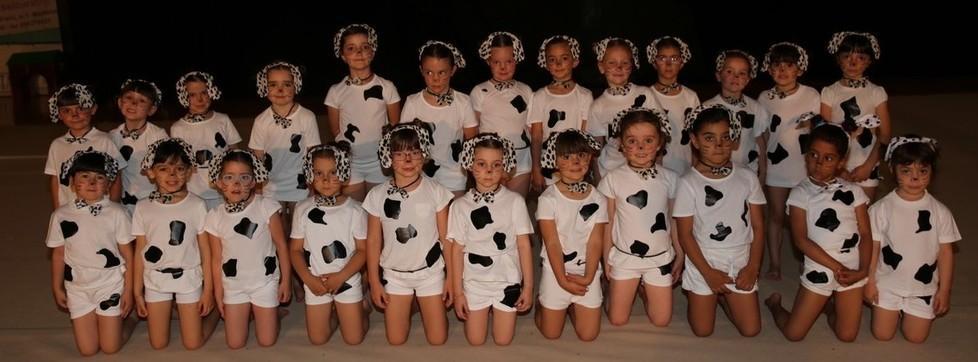 Ginnastica artistica: che emozioni al saggio di fine anno della Visport
