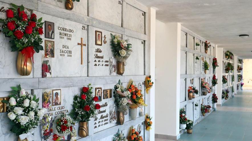 Piccioni e nidi tra i loculi del cimitero