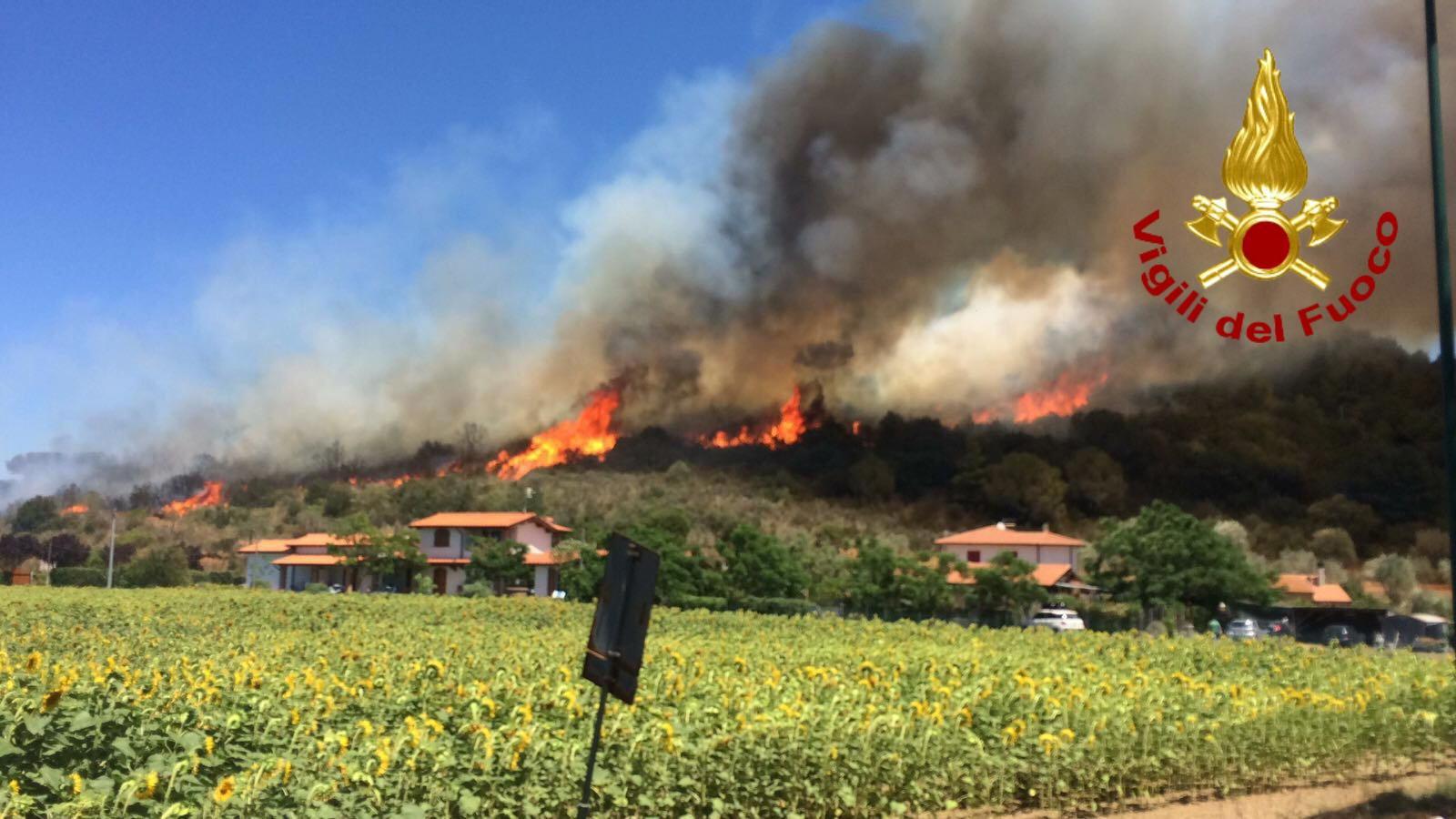 L'incendio che lo scorso 4 luglio ha attaccato il bosco di Castiglione della Pescaia