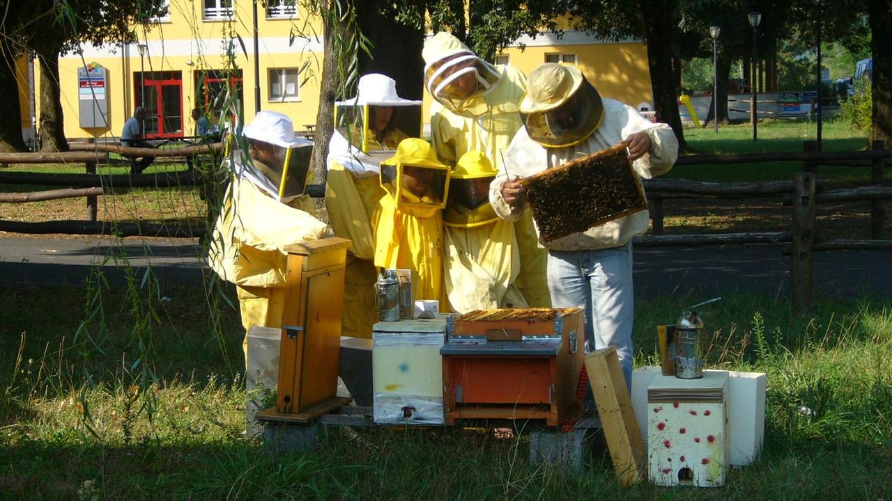 La coop di don Benzi produce il miele toscano e aiuta gli ex carcerati