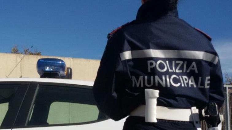 La municipale