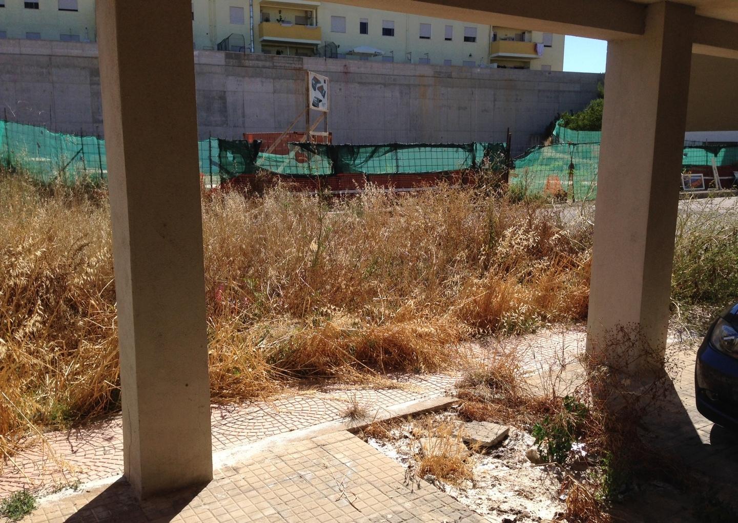 Le erbacce invadono i palazzi in via Cultura paura per gli incendi 