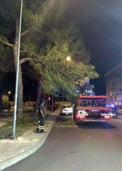 Albero pericolante messo in sicurezza