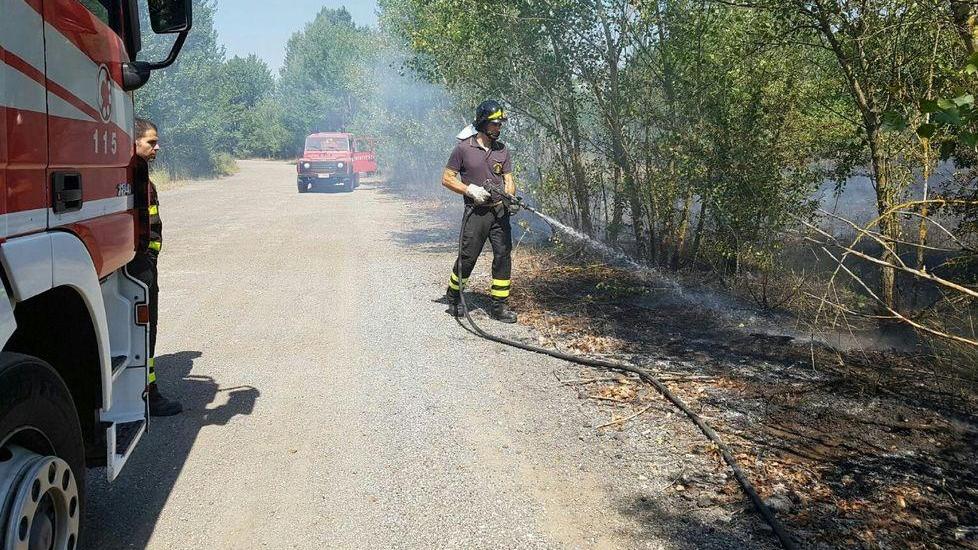 Bruciati due ettari di sterpaglie