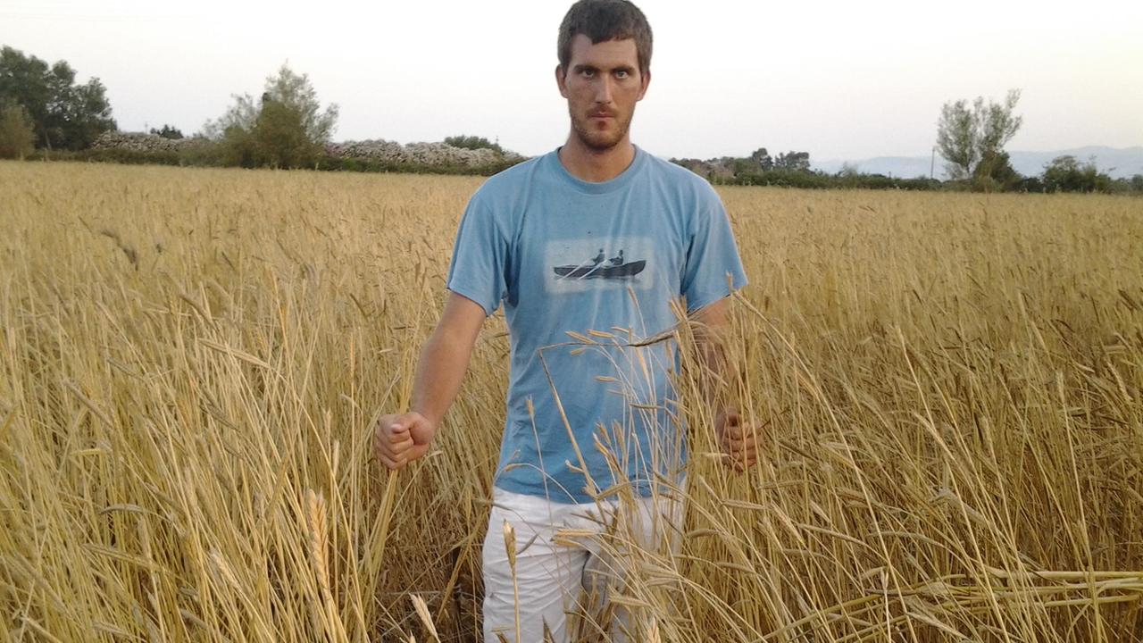 Lorenzo Moi, padovano di origini sarde, ha recuperato la coltivazione del grano monococco in Sardegna