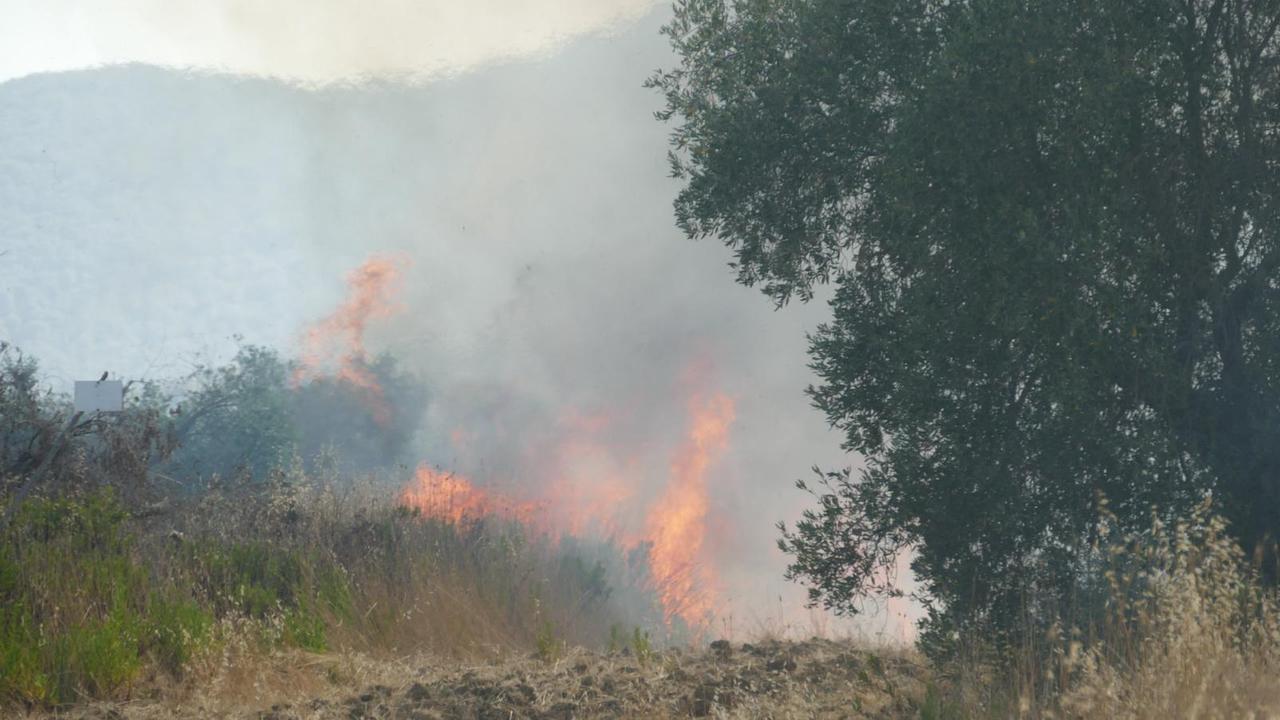Fuoco lungo l'Aurelia nei pressi di Fonteblanda (foto Enzo Russo)