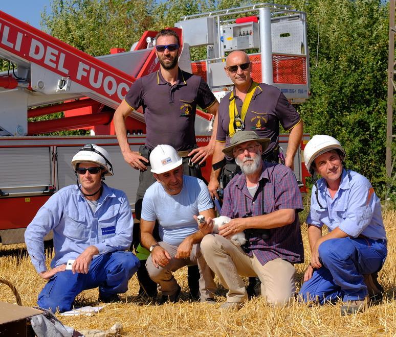 Il posto di lavoro è a rischio, ma intanto salvano il pulcino 