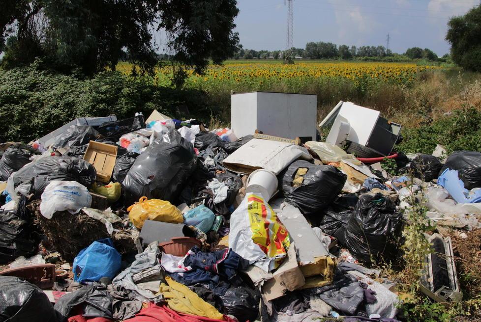 Montagne di rifiuti accanto ai girasoli