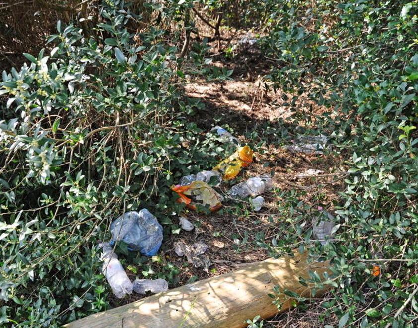 Rifiuti in pineta dopo il rave