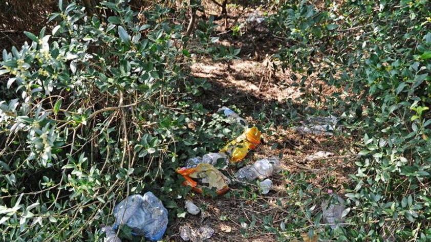 Rifiuti in pineta dopo il rave