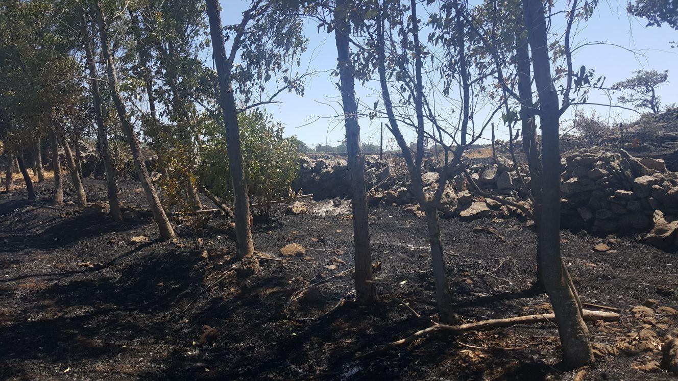 Paura a Nurri: incendio quasi raggiunge la casa di una famiglia che stava pranzando