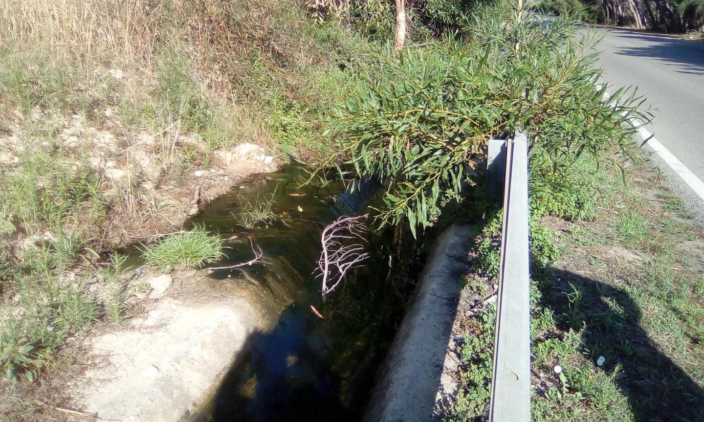 Perdita d’acqua sulla provinciale