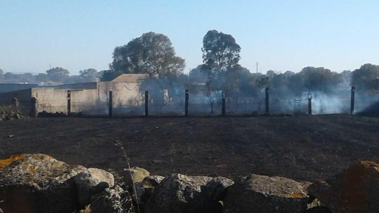 L'incendio nelle campagne di Ghilarza