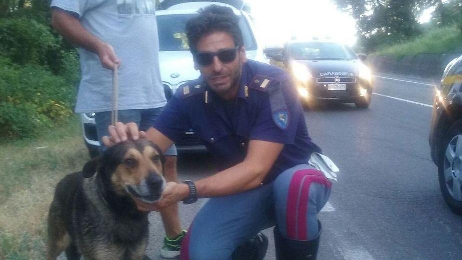 Scontro frontale sull’Estense Feriti i conducenti e un cane