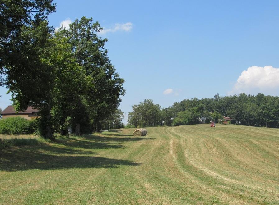 Una maxi stalla tra i turisti Casa Matteazzi si ribella 