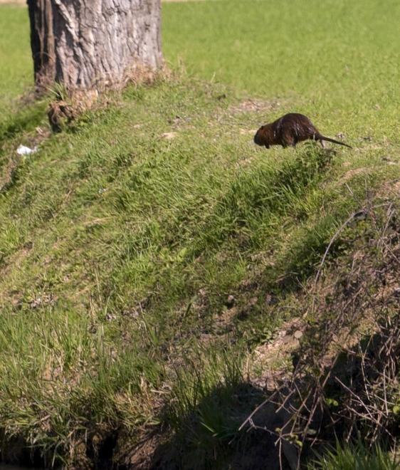«Tutti gli attori facciano la loro parte»