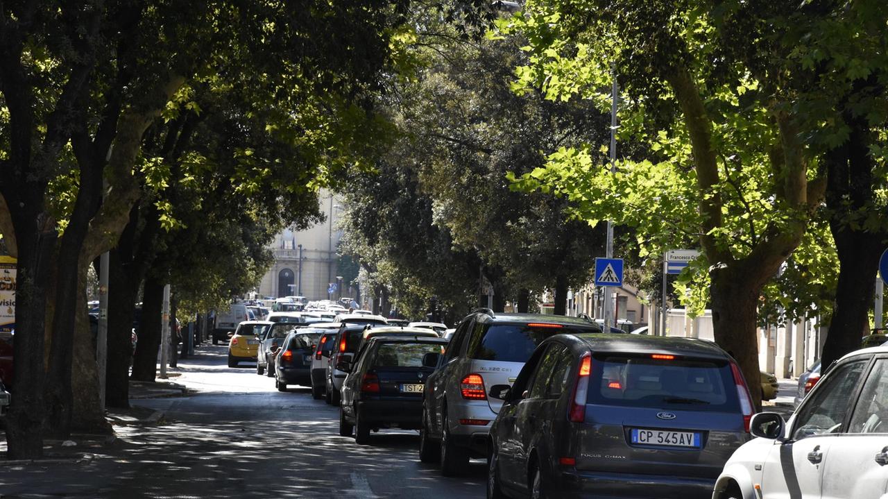 Traffico in tilt (Foto Bf)