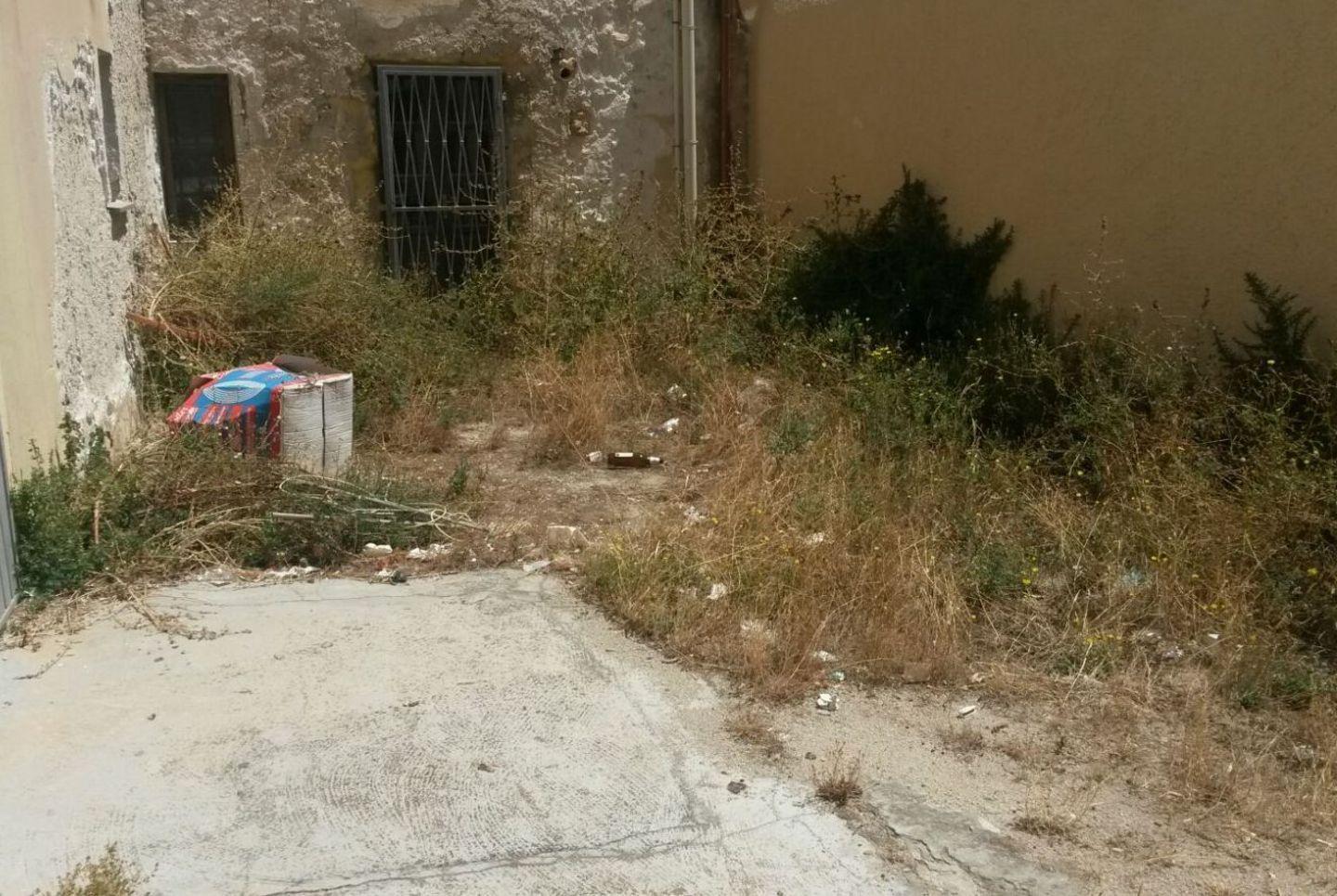 Erbacce e zone dimenticate