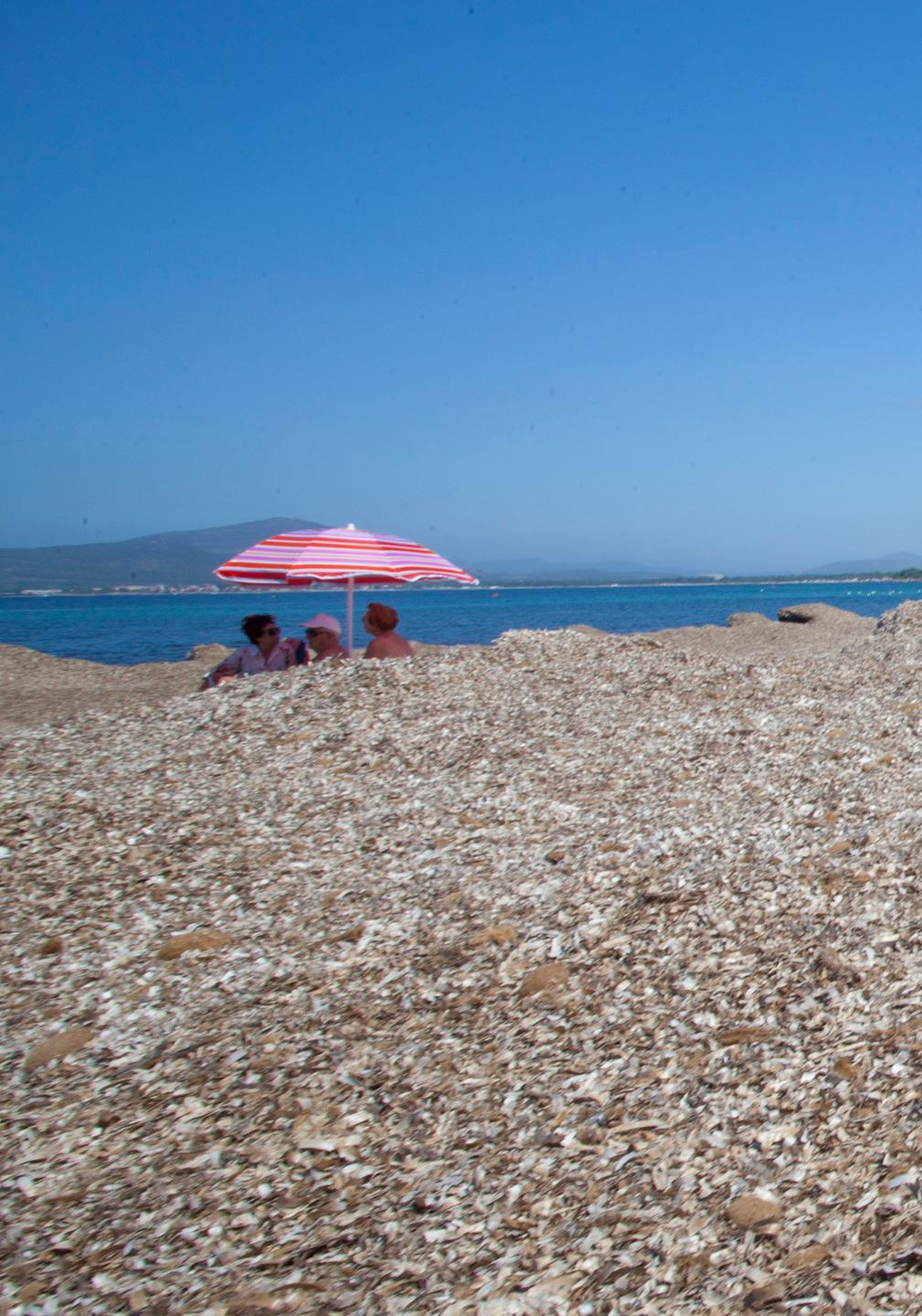 Alghero, alghe in putrefazione: l’odore è insopportabile 