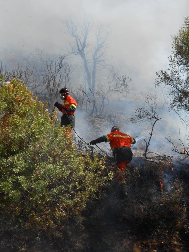 Quartu, le fiamme lambiscono le case di Flumini