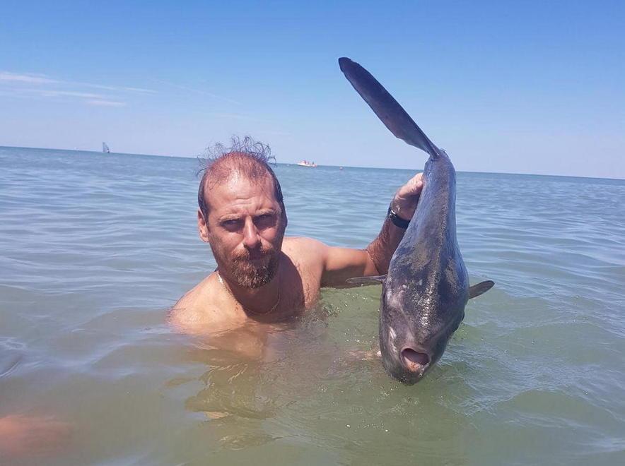 Pesce luna ferito si avvicina a riva, soccorso dai bagnanti