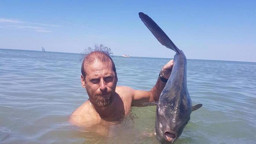 Pesce luna ferito si avvicina a riva, soccorso dai bagnanti