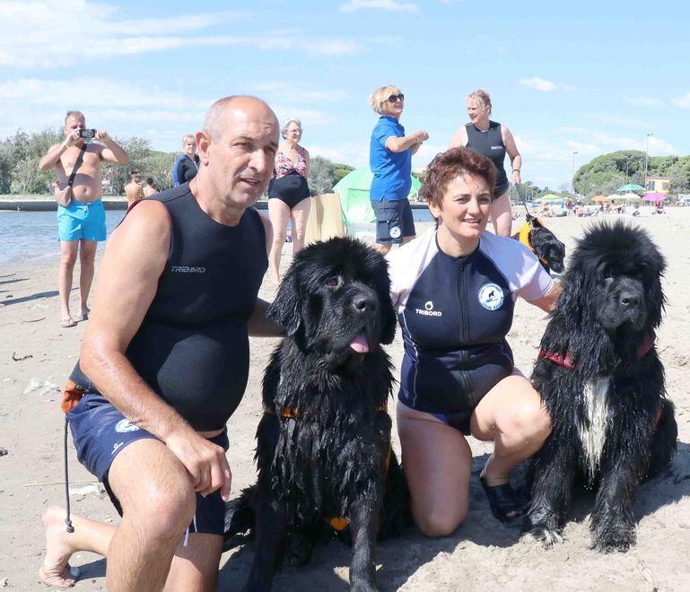 Cani da salvataggio in servizio al Logonovo 
