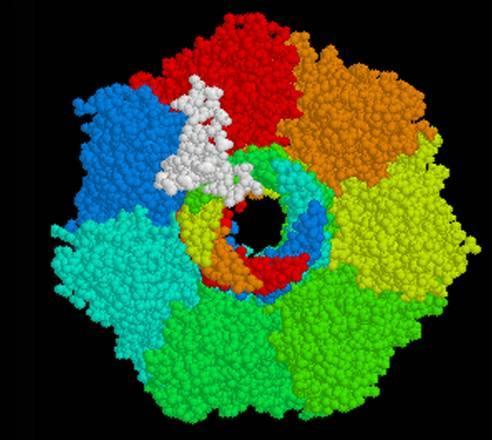 Rappresentazione grafica della tecnica di sequenziamento del Dna con i nanopori (fonte: George Church)