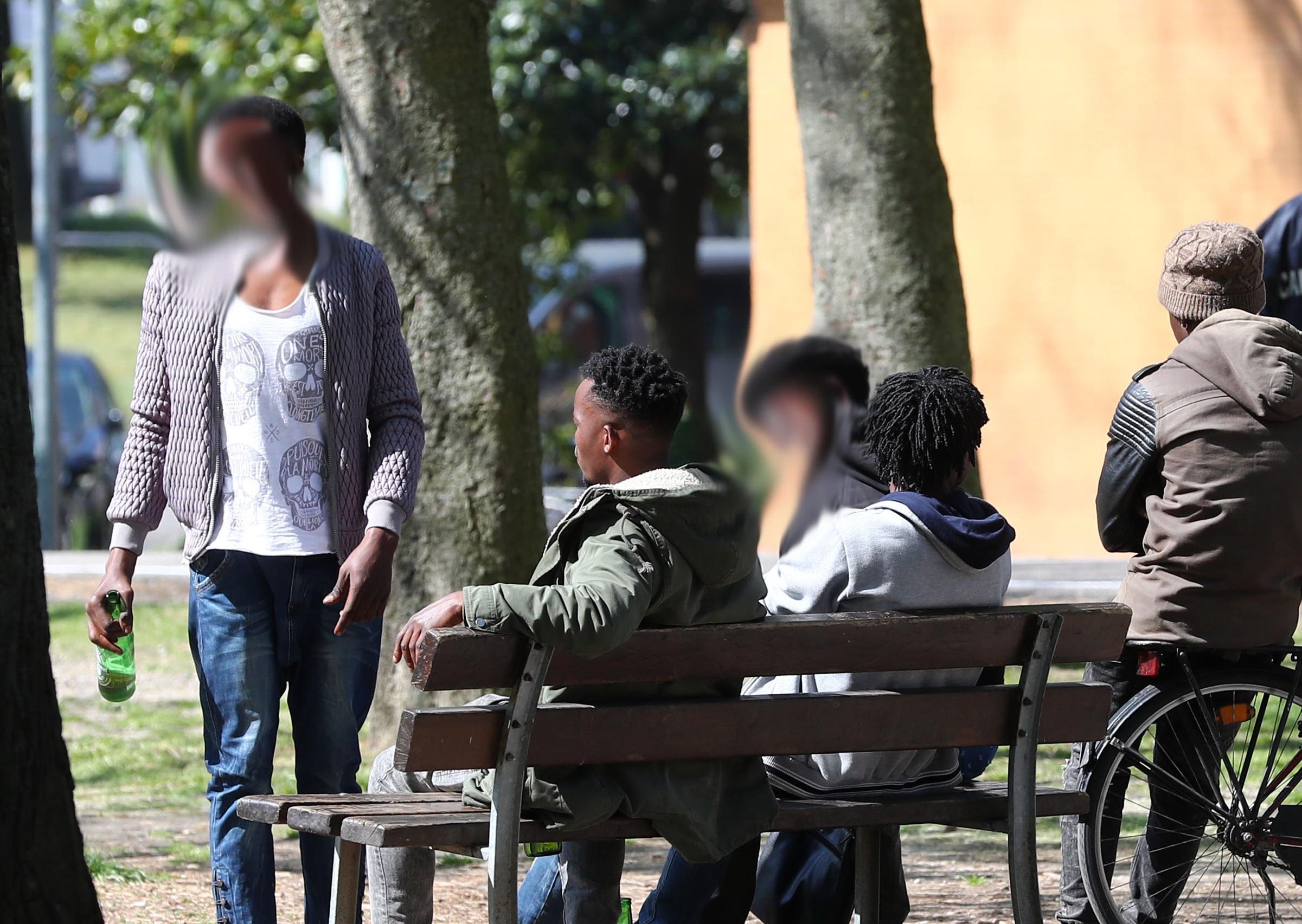 Zona Gad