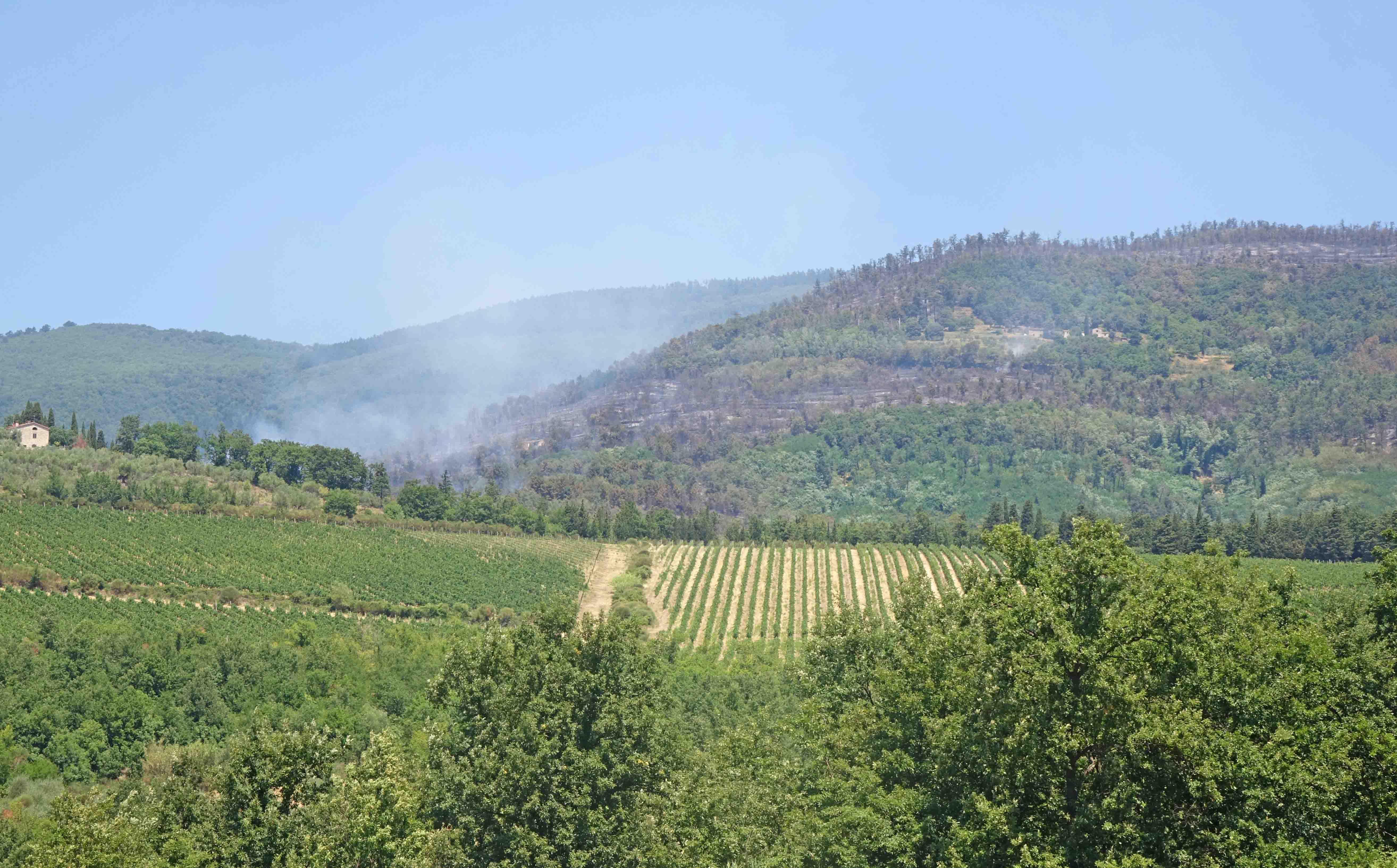 I focolai accesi sulle colline tra Santomato e Tobbiana la mattina di martedì