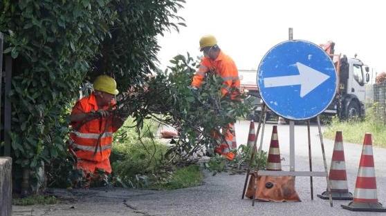 Operai al lavoro per ripulire il fosso dallo sversamento (foto Gori)