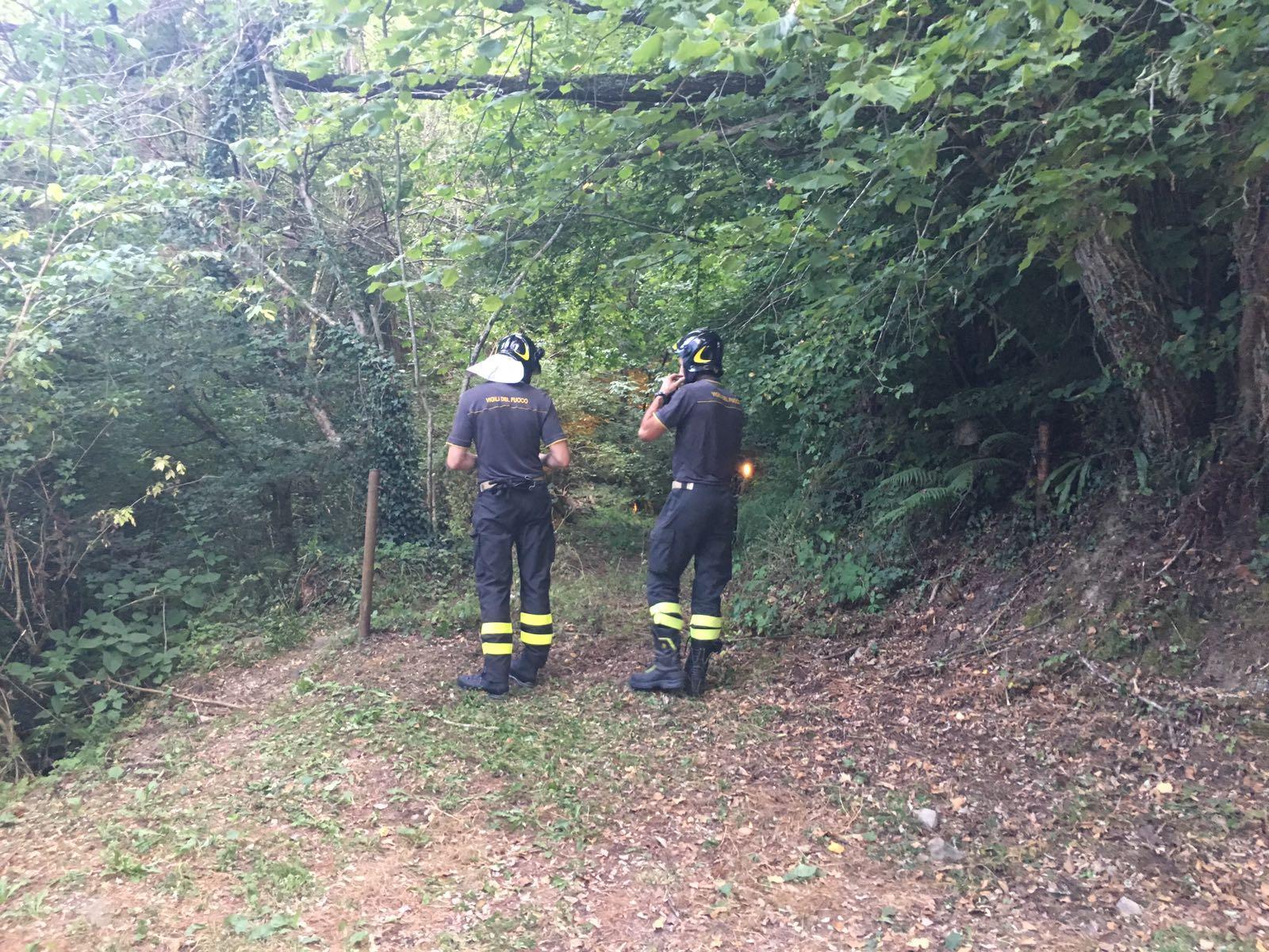 I vigili del fuoco sul luogo del ritrovamento