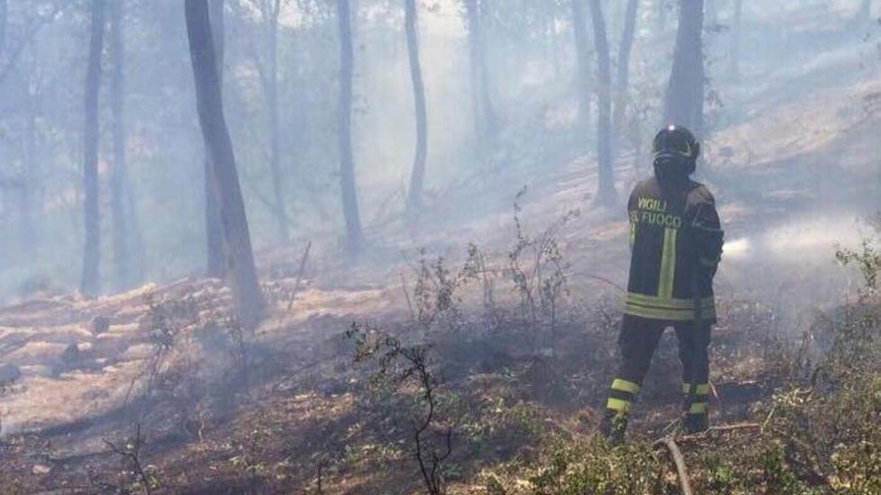 Seicento ettari in fumo Caccia ai responsabili