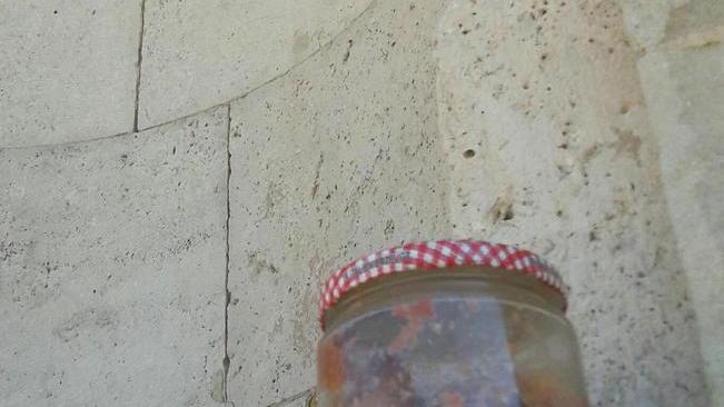 Ruggine, graffiti e gnocchi sotto al Leone