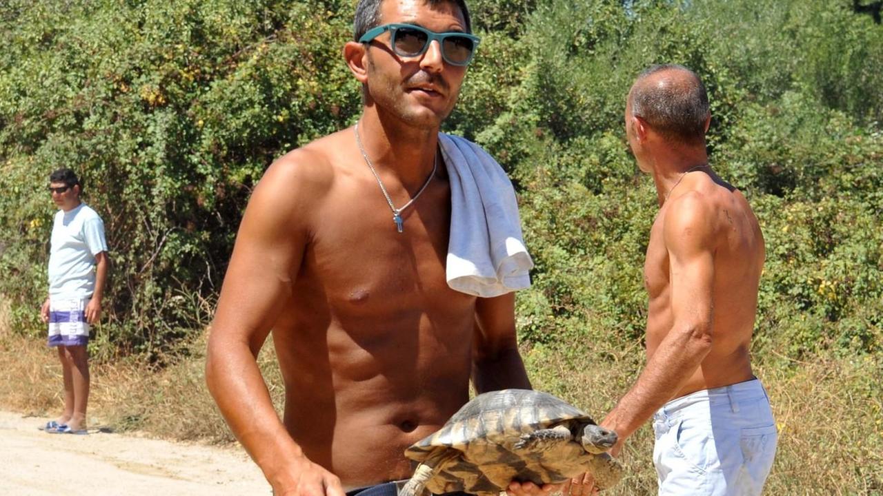 Una tartaruga salvata dalle fiamme