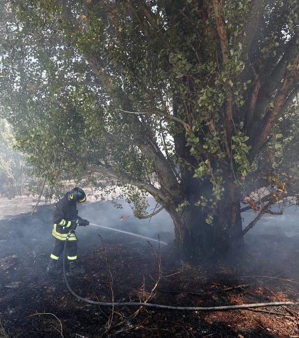 Cona, fiamme allo svincolo arrivano i vigili del fuoco