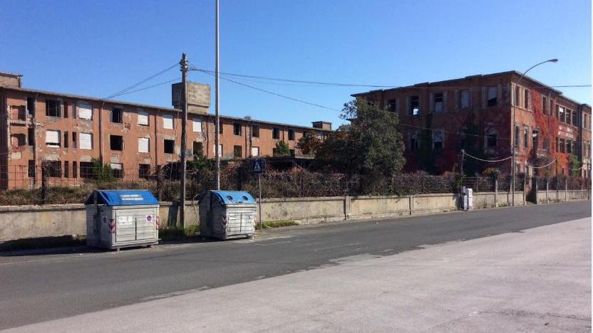 Le colonie marine non si toccano più
