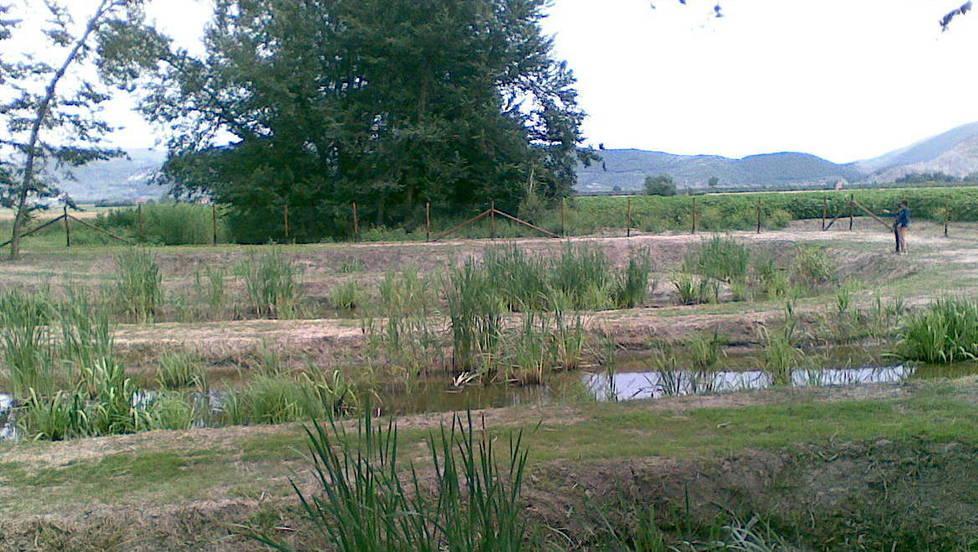 Stop all’utilizzo del lago per irrigare i campi 