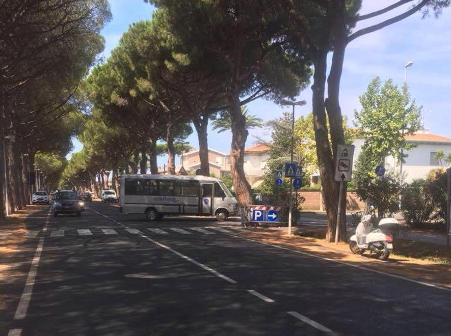 Navetta flop? Il sindaco: «Ci vuole tempo» 