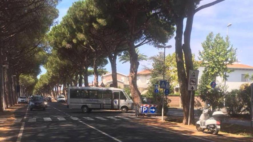 Navetta flop? Il sindaco: «Ci vuole tempo»