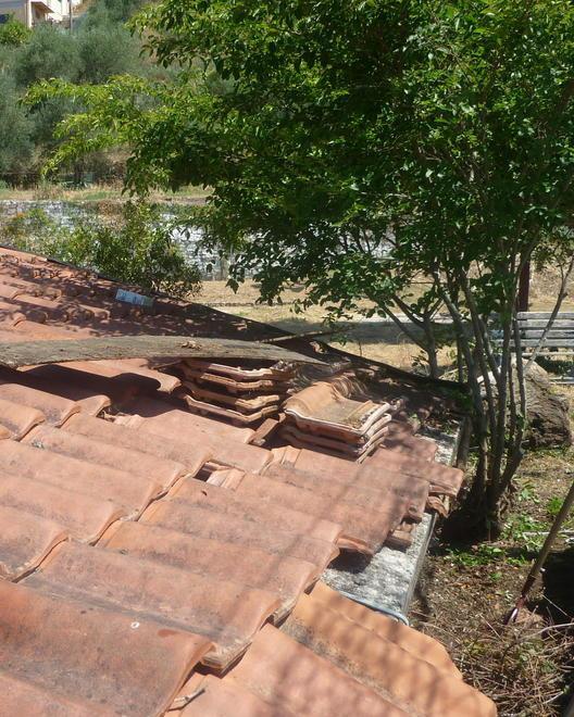 «Noi che amiamo il borgo di Mirteto e lo puliamo gratis»
